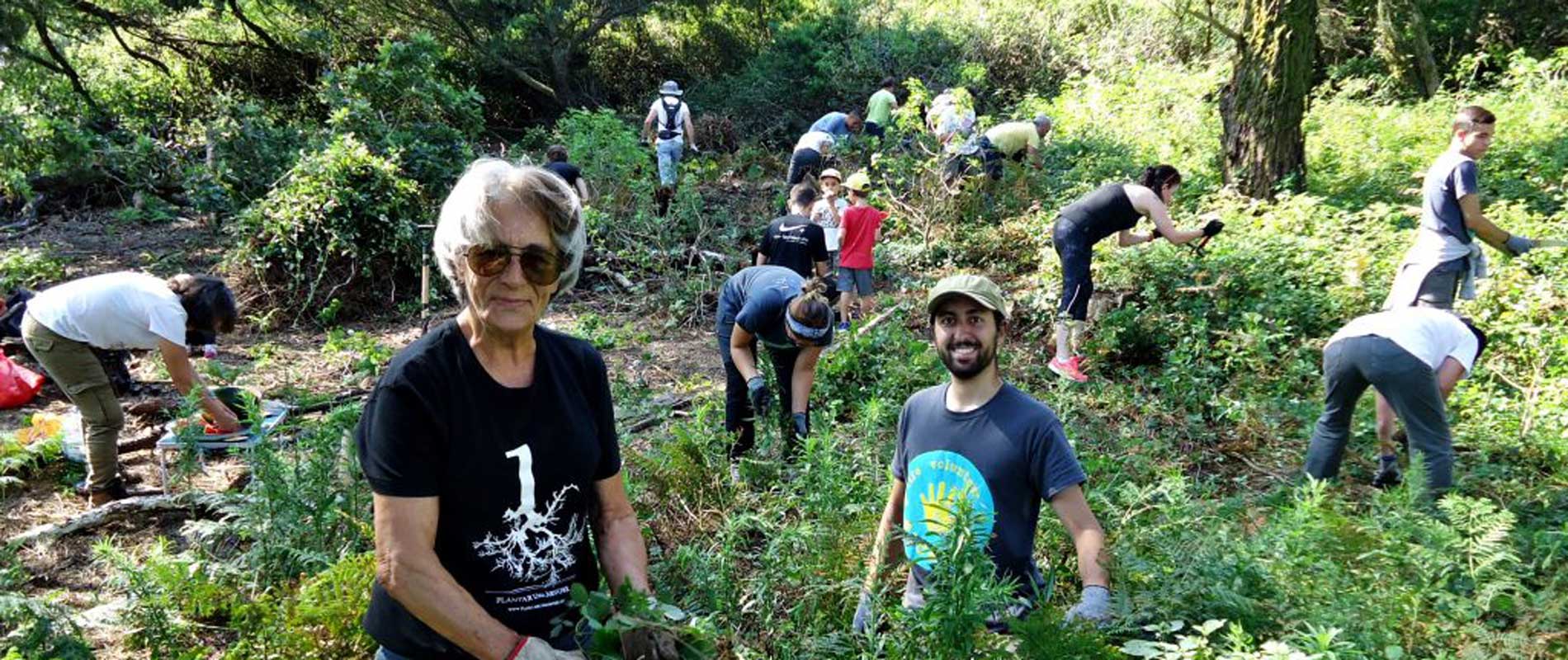 Reforesting the Future: Volunteering for Portugal’s Forest Conservation