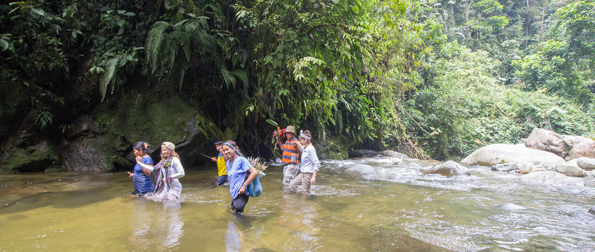 Plants, People, and Healing: Discovering Ecuador’s Amazonian Ethnobotany