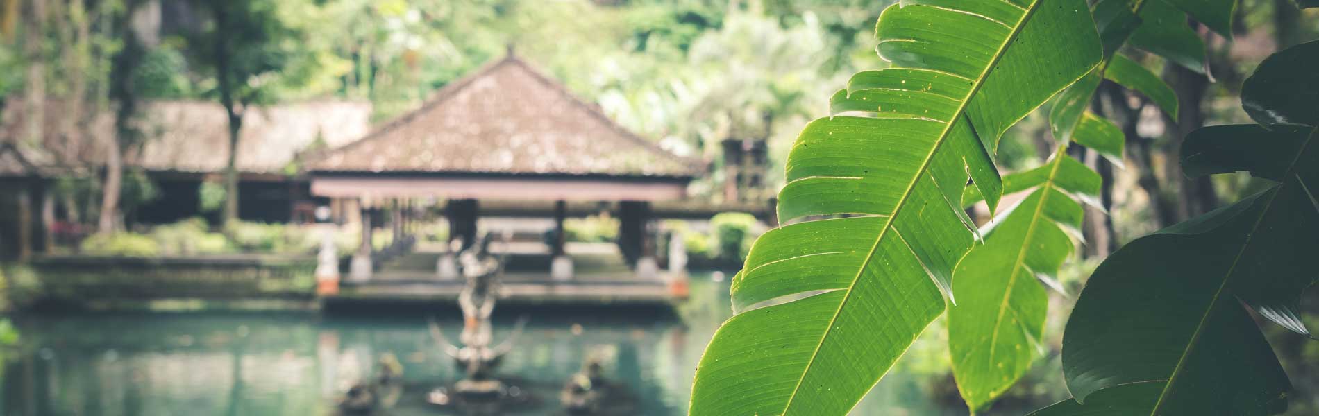 Awakening the Spirit: Discovering the Power of Meditation and Yoga in Thailand & Bali