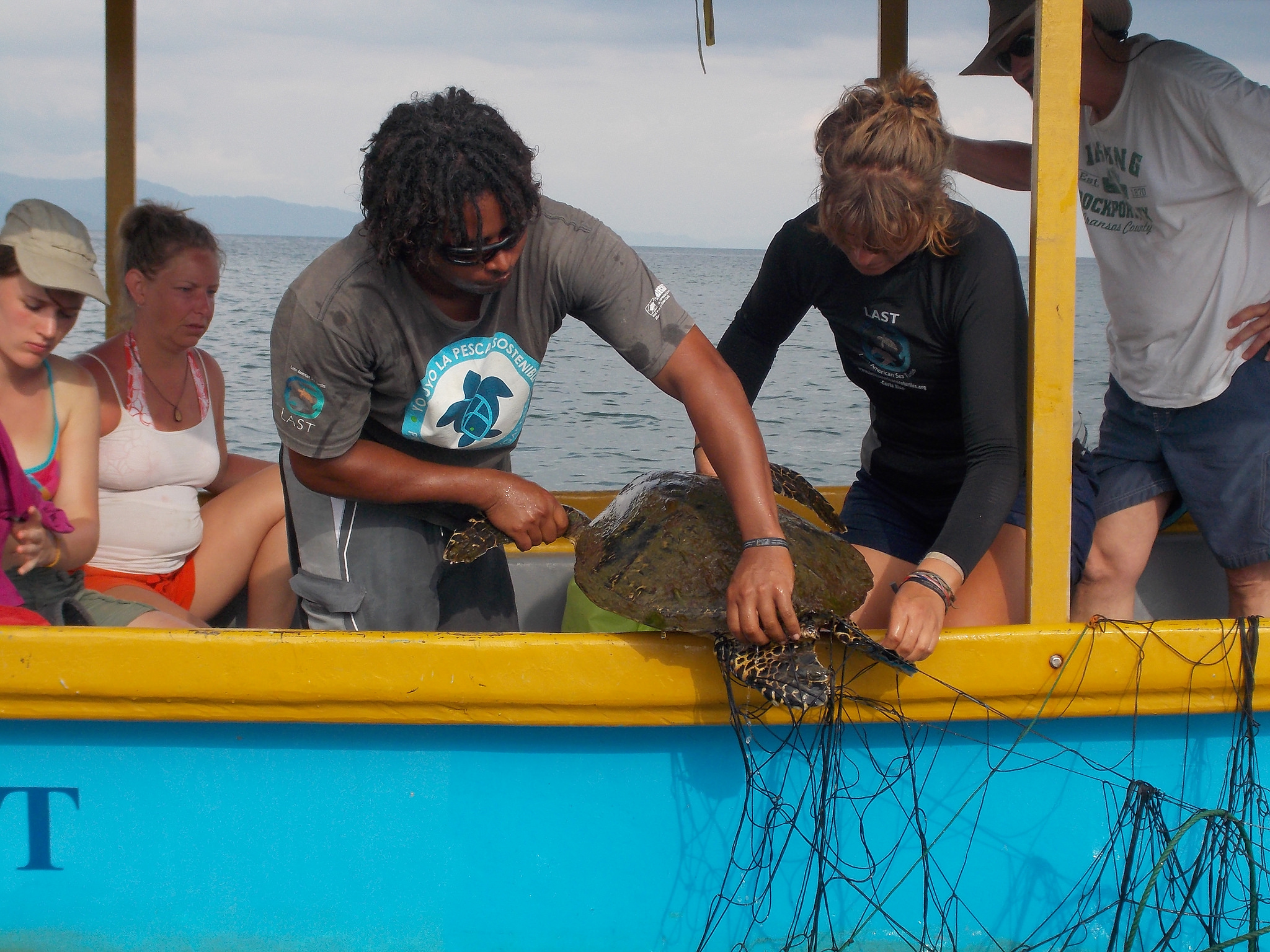 Dive into Sea Turtle Conservation: Unwind and Make a Difference in the Enchanting Dulce Gulf