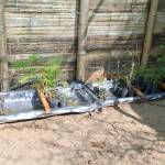 PHOTO-2025-05-12-09-38-46